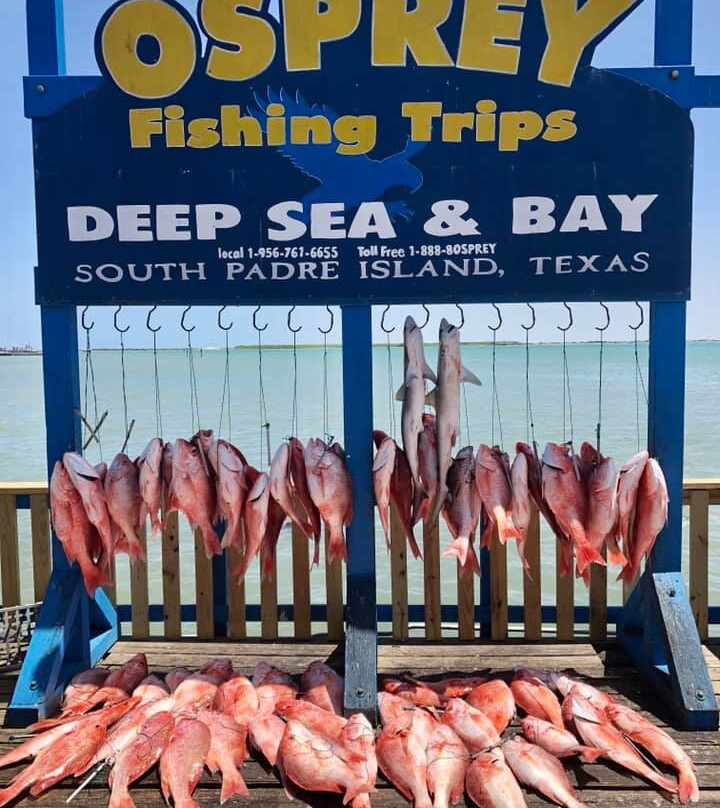 Osprey Cruises-Port Isabel必去景点