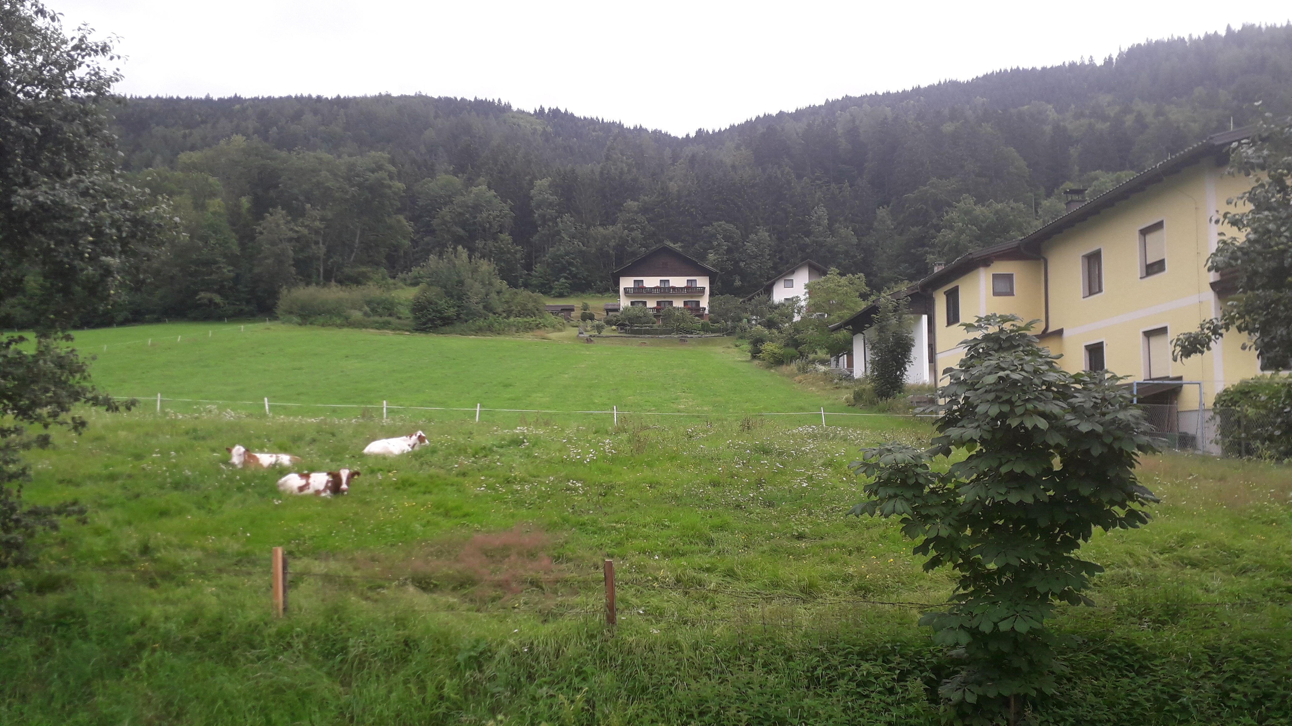 Gasthof Neuhof-官方