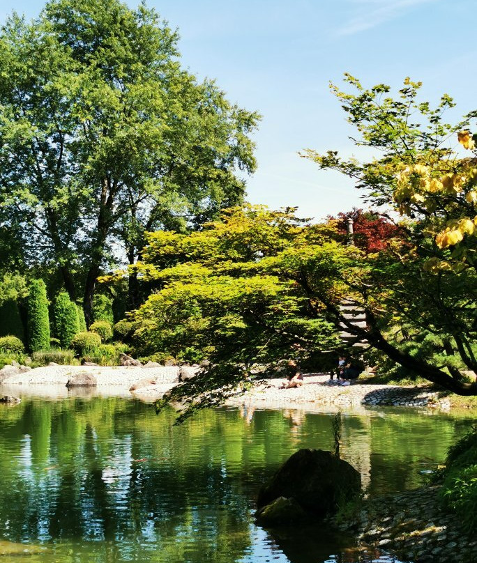 Rheinaue-波恩必去景点