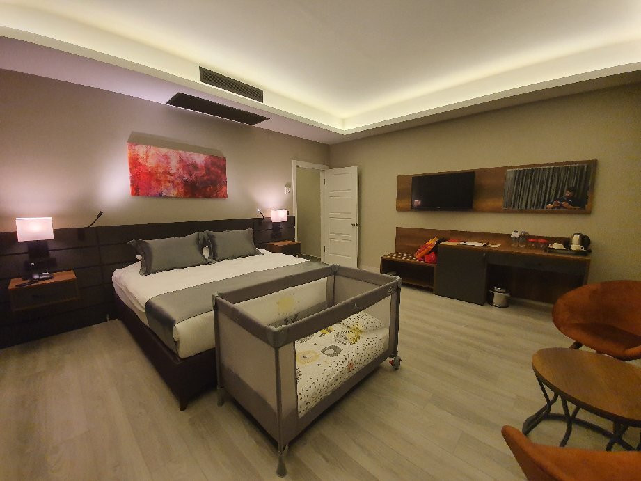 The Plaza Hotel Edirne主图