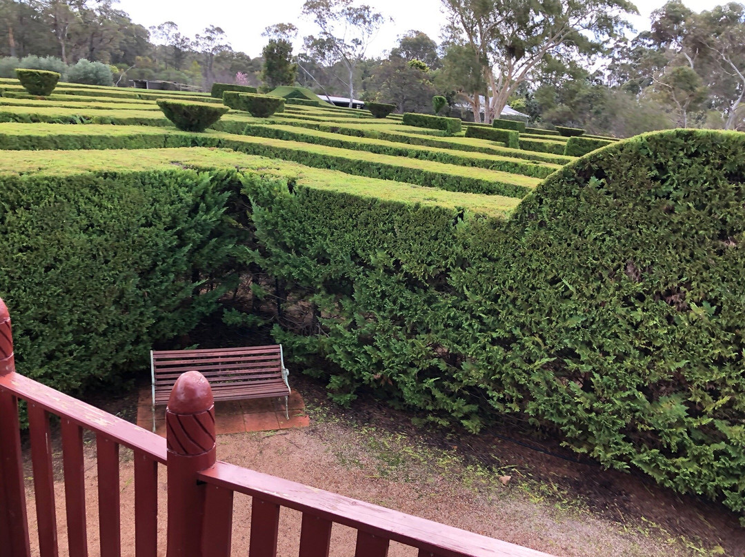 Boranup Forest Maze景点图片