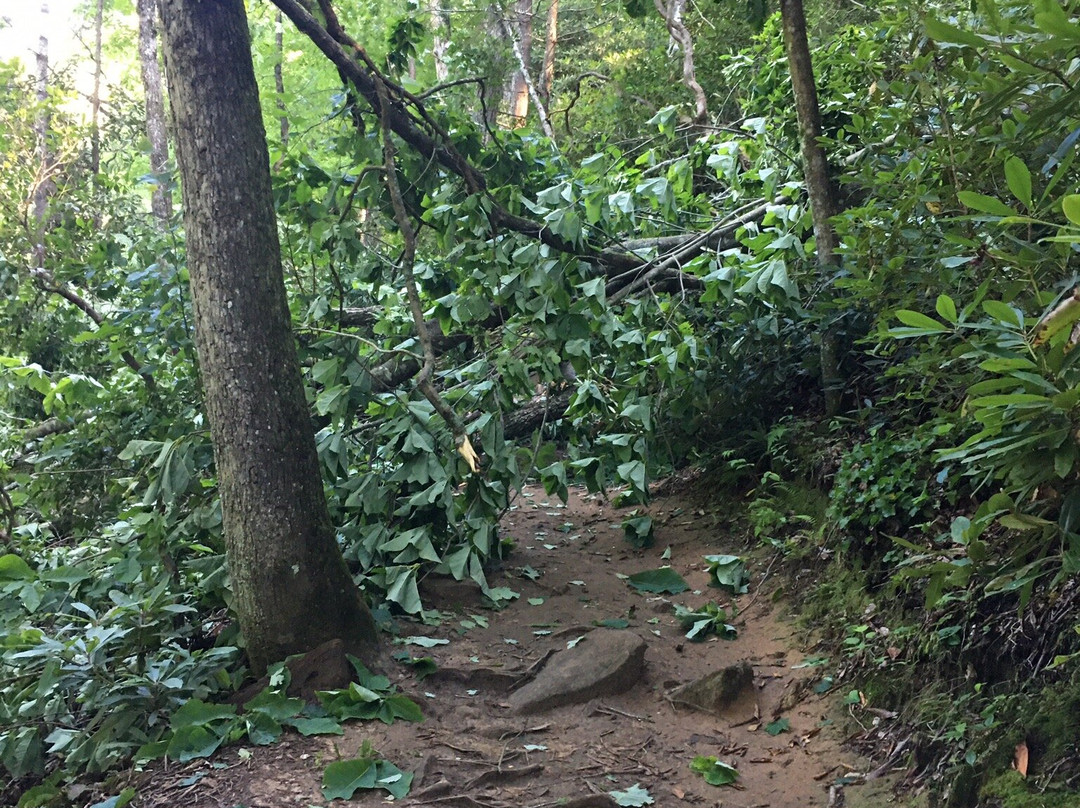 Gorges State Park-Sapphire必去景点