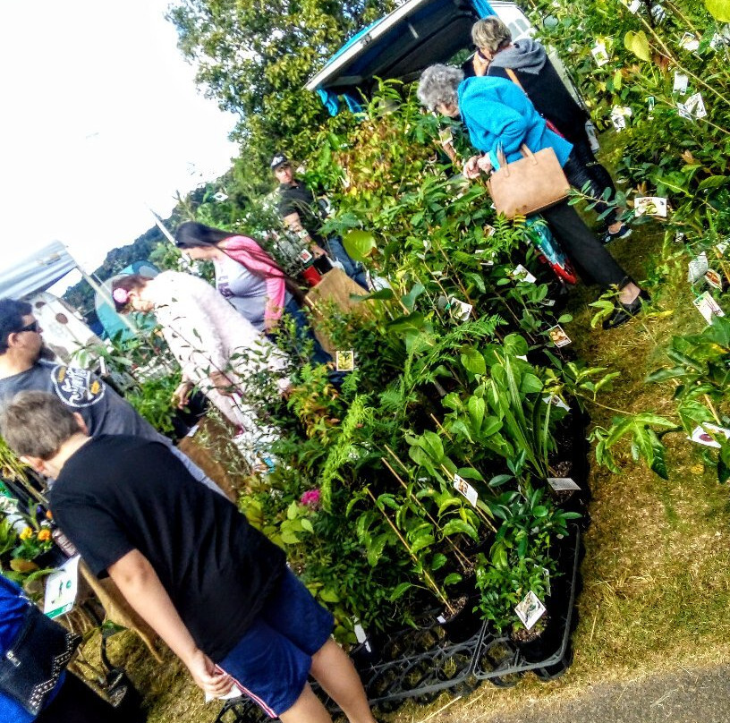 Malanda Markets-马兰达必去景点