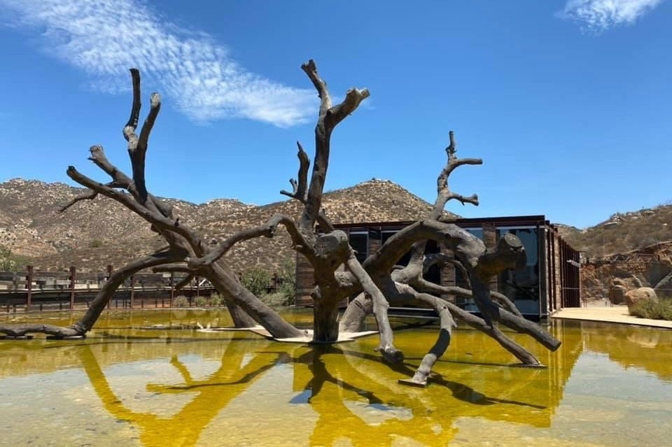 Experiencias baja tours & actividades景点图片
