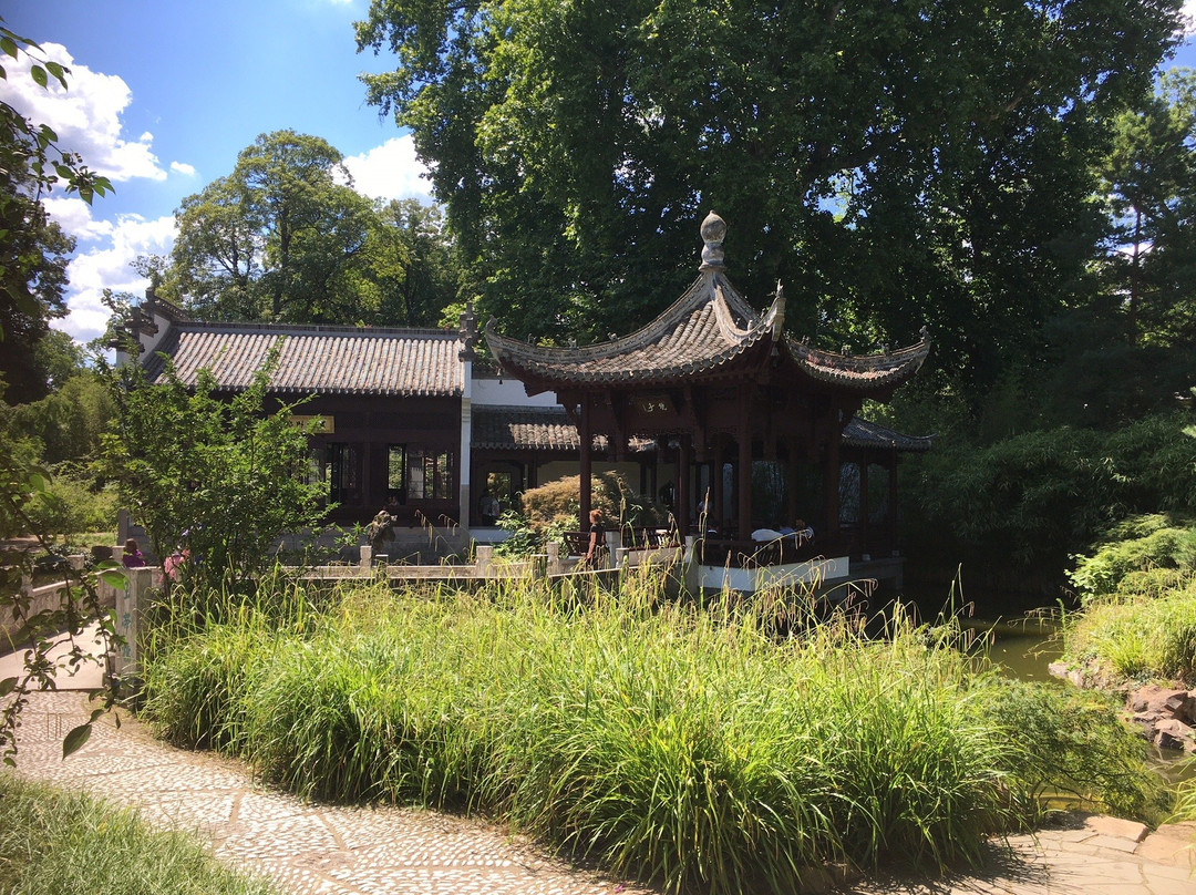 中国花园-法兰克福必去景点