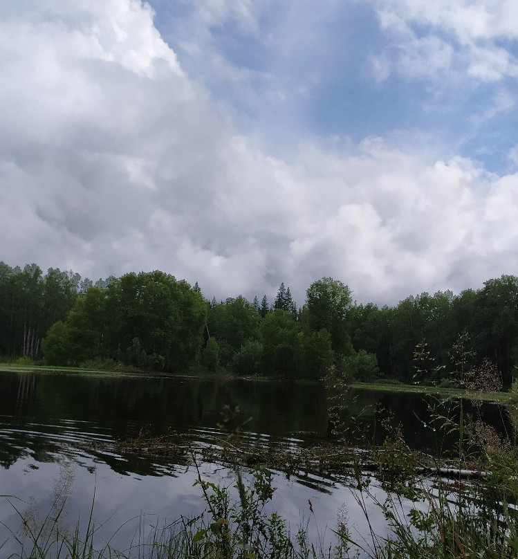Lake Monastyrskoe景点图片