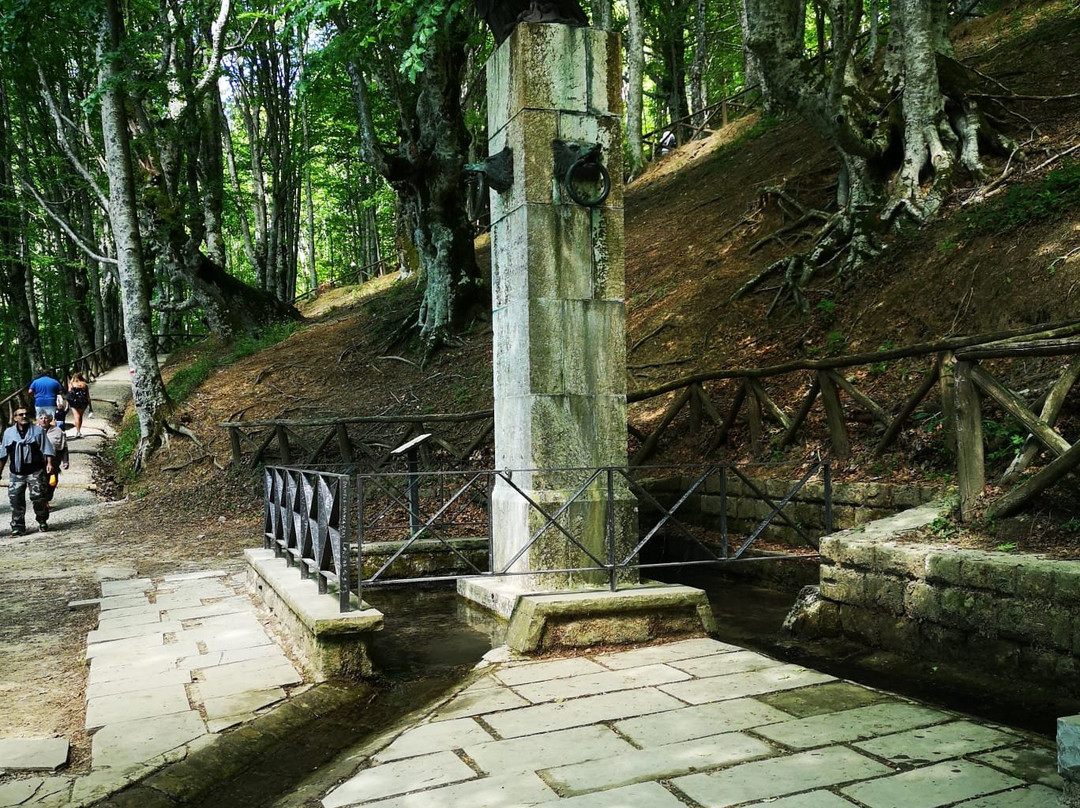 Monte Fumaiolo景点图片