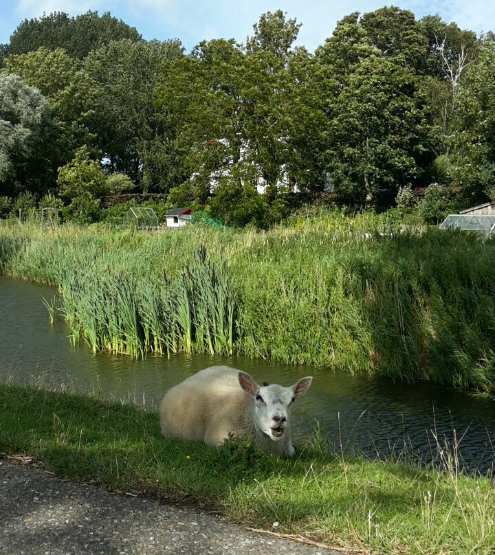 Kunstfort-Vijfhuizen必去景点