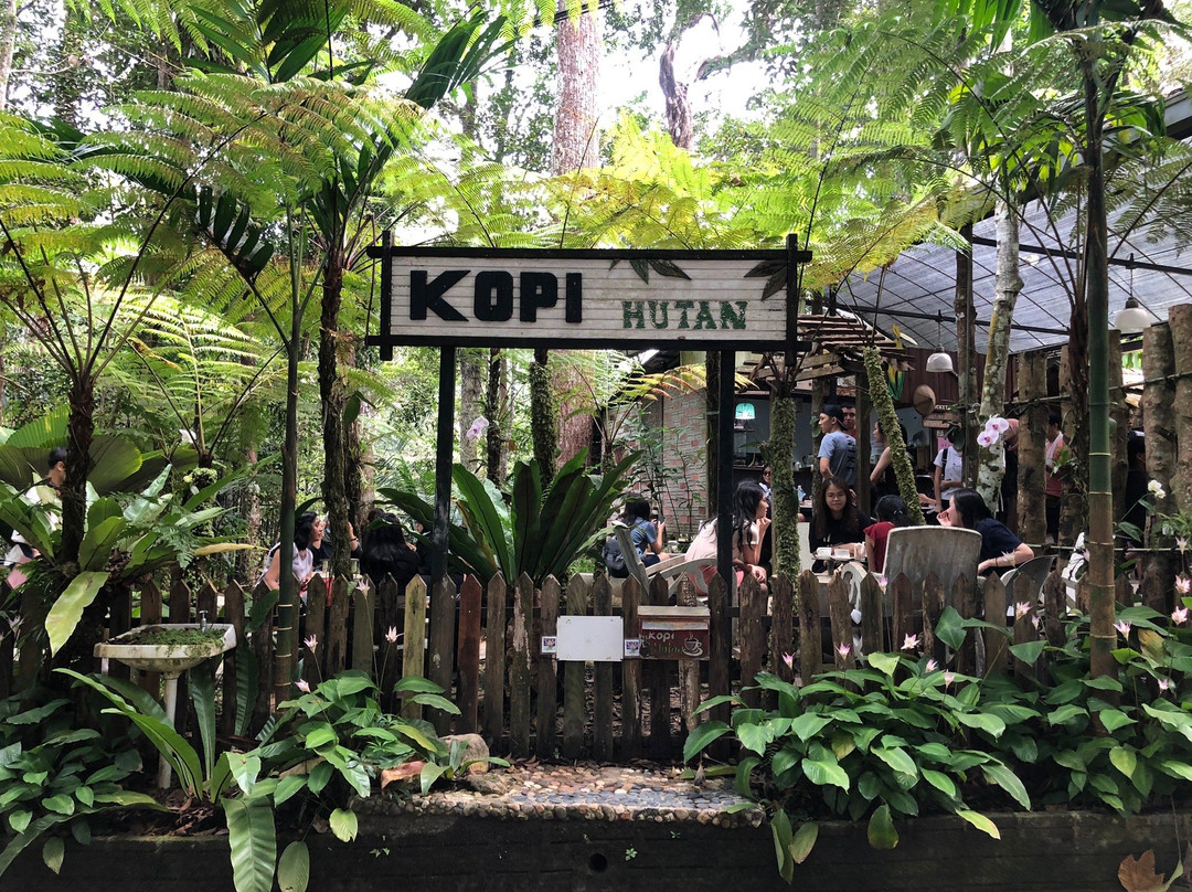 Monkey Cup-槟城岛必去景点