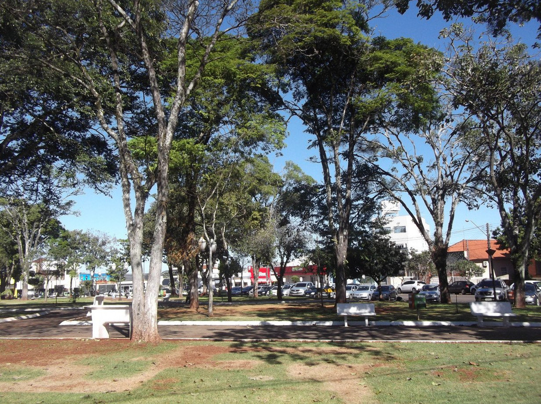 Praça Pio Xii景点图片