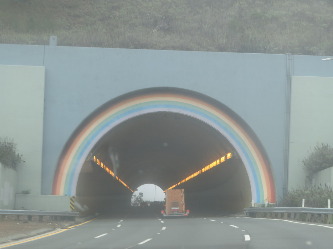 Robin Williams Rainbow Tunnel景点图片