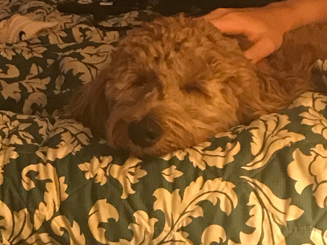 The Evergreen Inn - Motel and RV Park主图