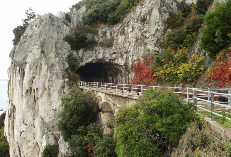 Galleria Naturale景点图片