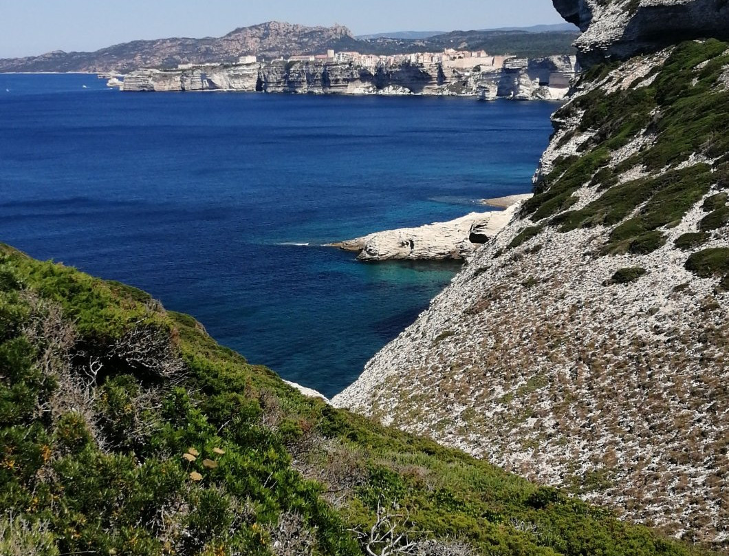Phare de Pertusato景点图片