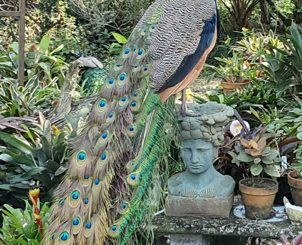 Metals and Nature-普兰特城必去景点