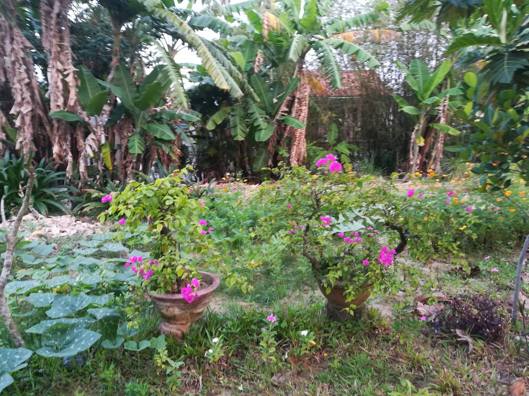 Green Areca Hoi An Villa主图