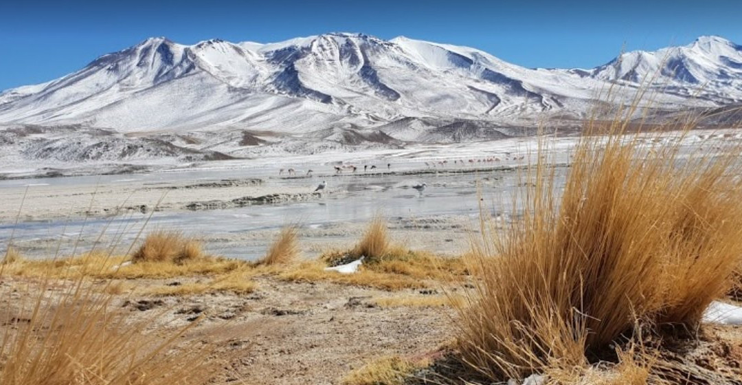 Laguna Hedionda-乌尤尼必去景点