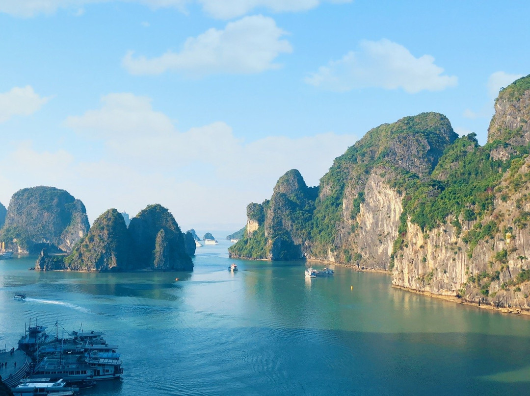 President Cruises-Ha Long City必去景点