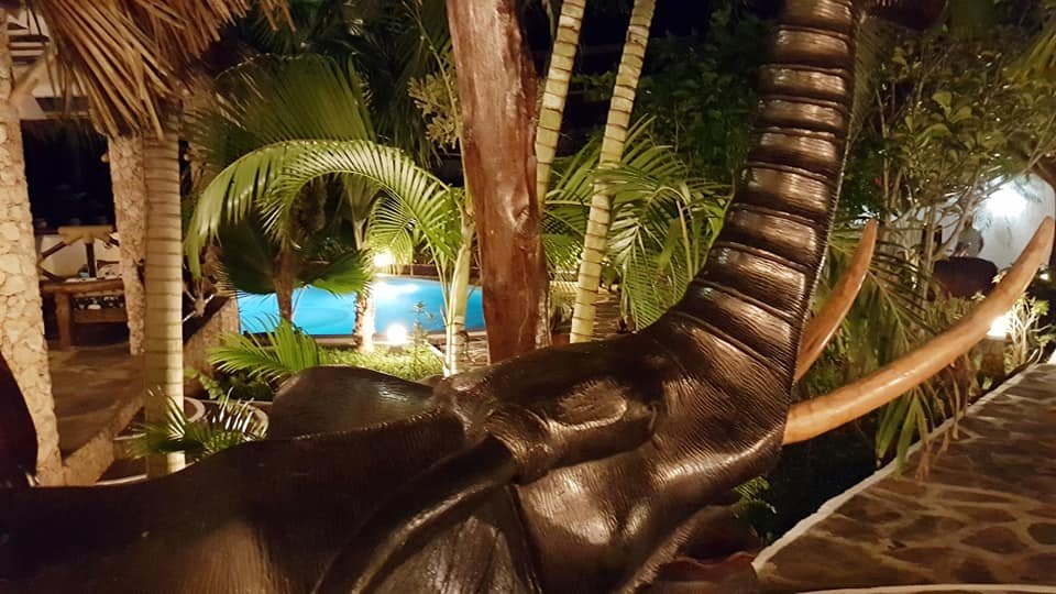 Boutique Hotel Nyumbani Tembo-官方