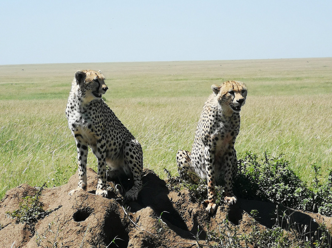 Exposed Africa-莫西必去景点