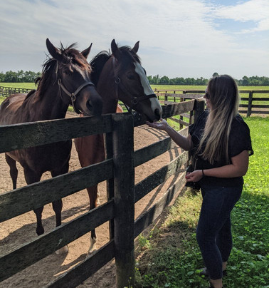 Unique Horse Farm Tours-列克星敦必去景点