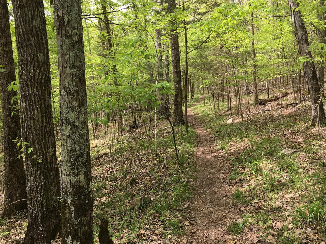 Wade Mountain Nature Preserve-亨茨维尔必去景点