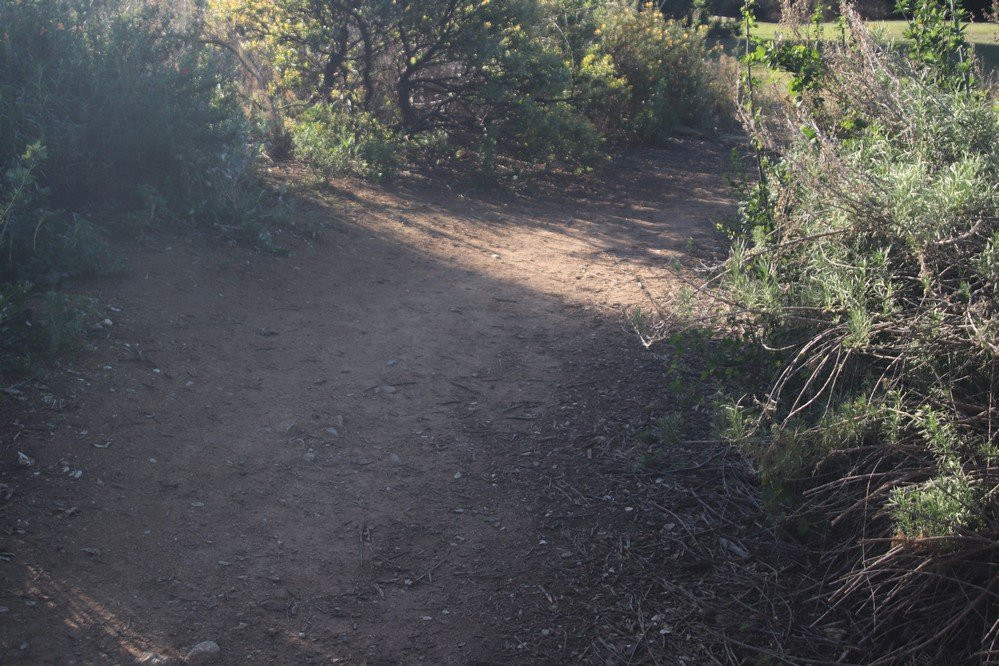 Caroline Park-雷德兰兹必去景点