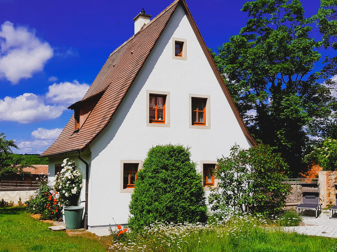 金色玫瑰精品酒店主图