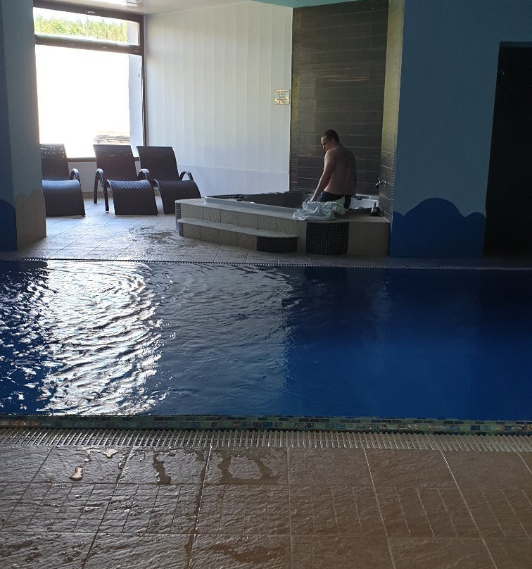 Dziki Potok Hotel & SPA主图