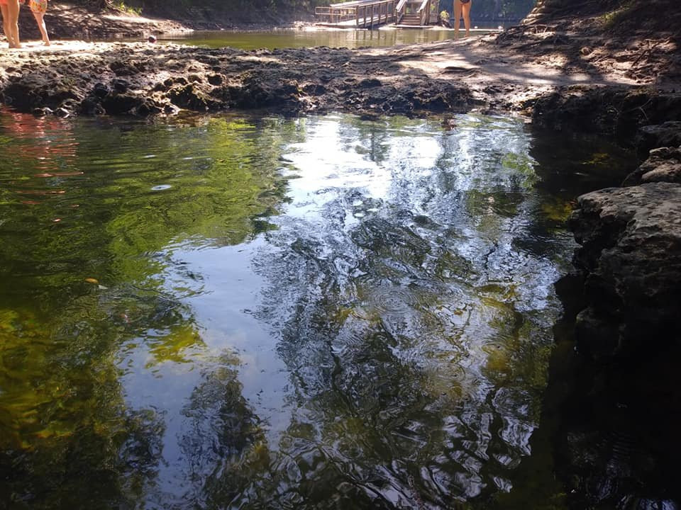 Lafayette Blue Springs State Park-Mayo必去景点