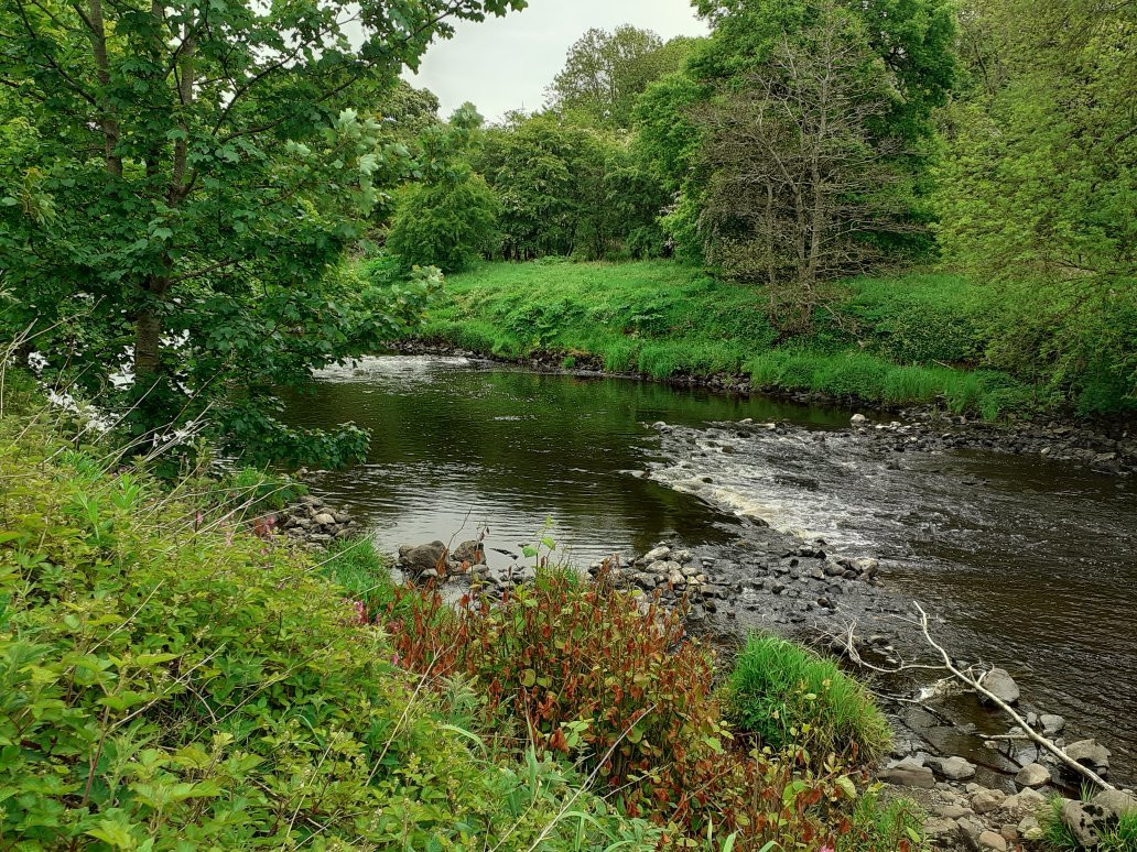 Shewalton Wood-Irvine必去景点