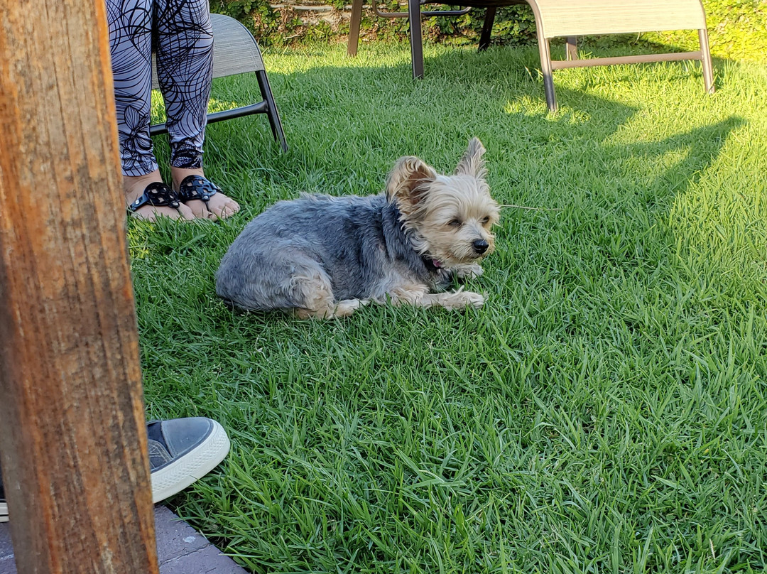 玛丽娜海滩汽车旅馆主图