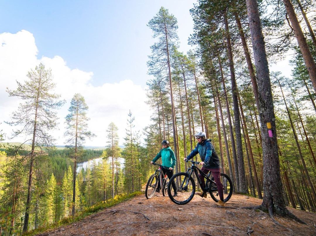 Ranua酒店住宿-Kide Hotel by Iso-Syote