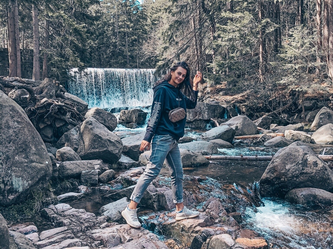 Wild Waterfall景点图片