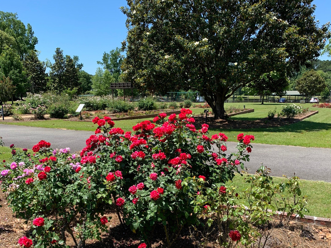 Thomasville Rose Garden景点图片