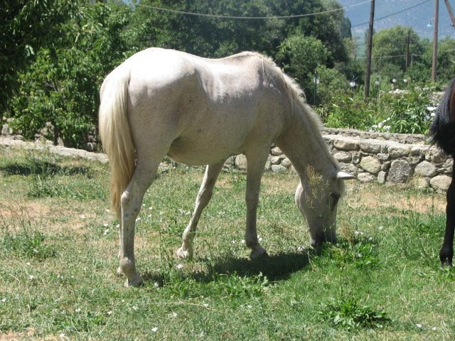 Prespa Lakes-Prespes必去景点