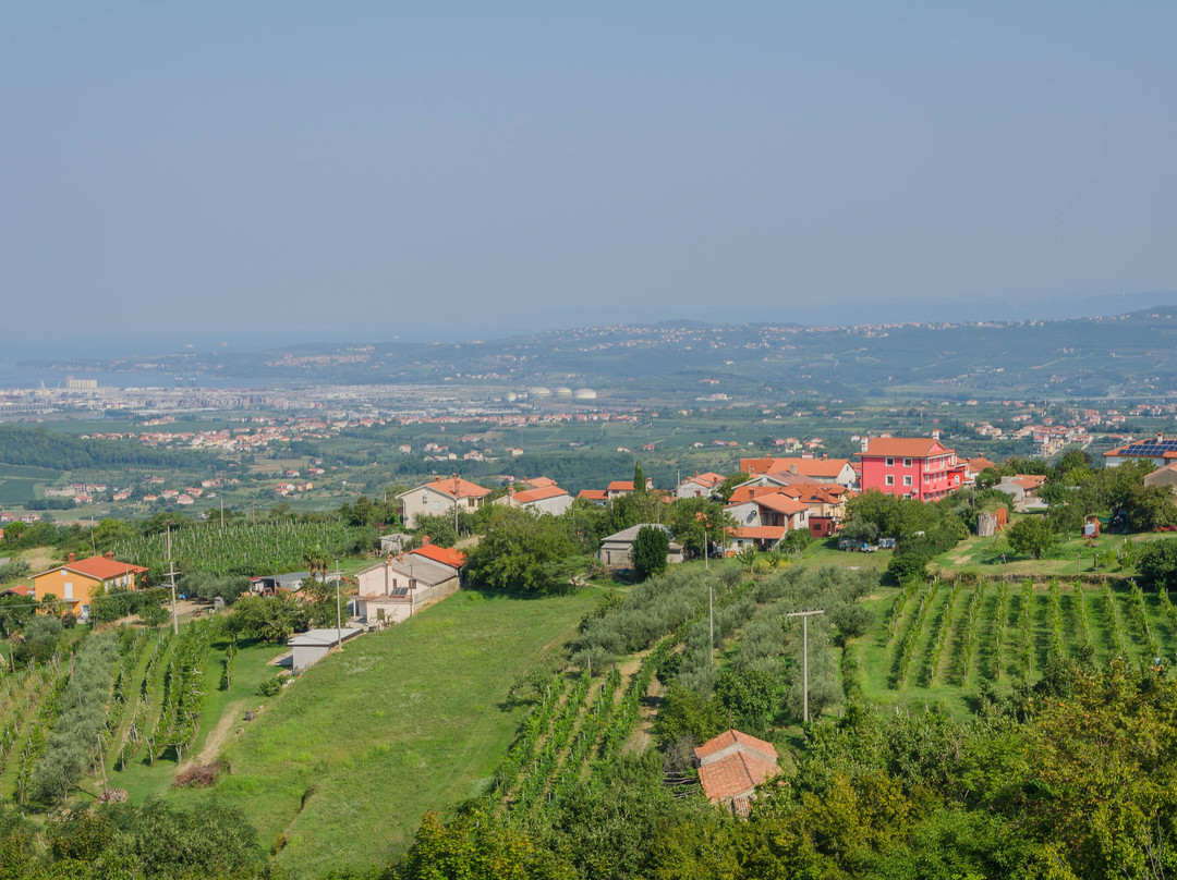 Razgledna Točka Marezige景点图片