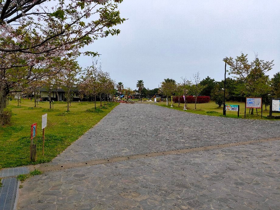Higata Yoka Park-佐贺市必去景点