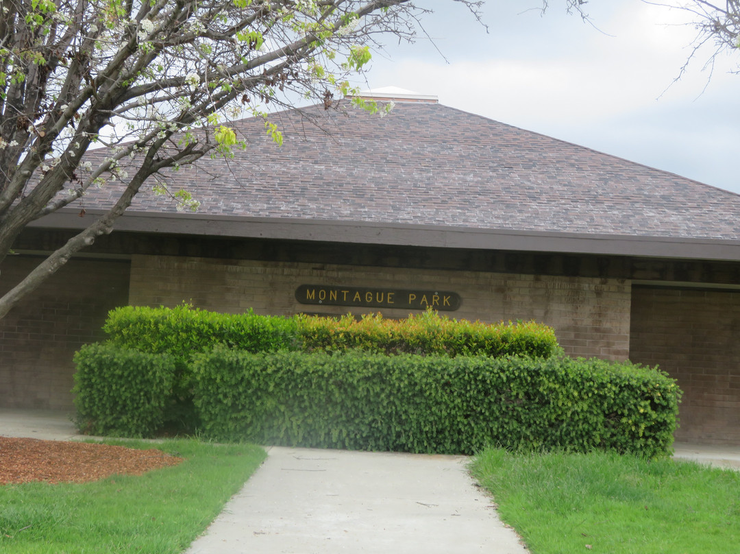 Montague Park-圣克拉拉必去景点