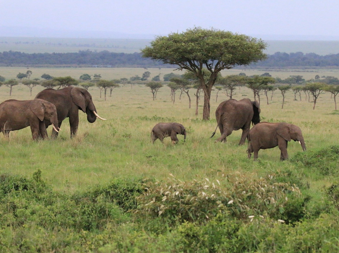 Wild Experience Africa-Wakiso必去景点