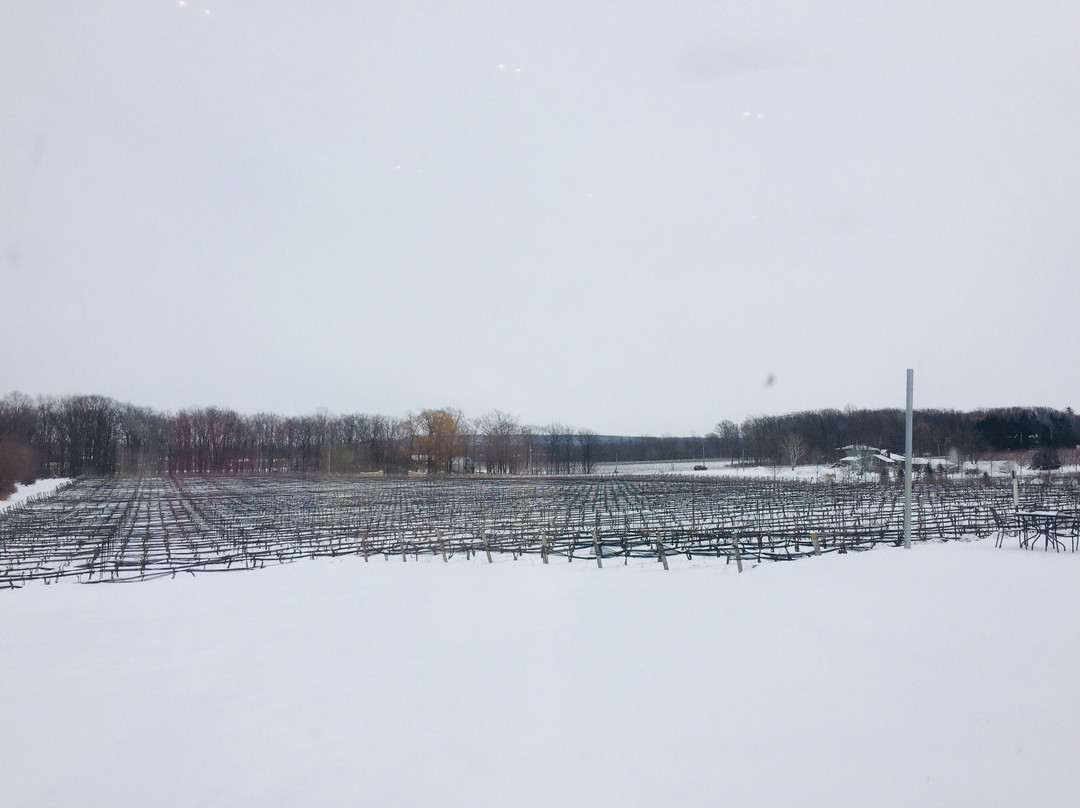 Rosewood Estates Winery景点图片