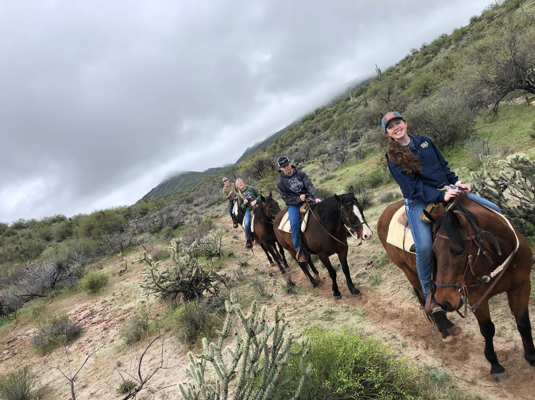 Flying E Ranch主图