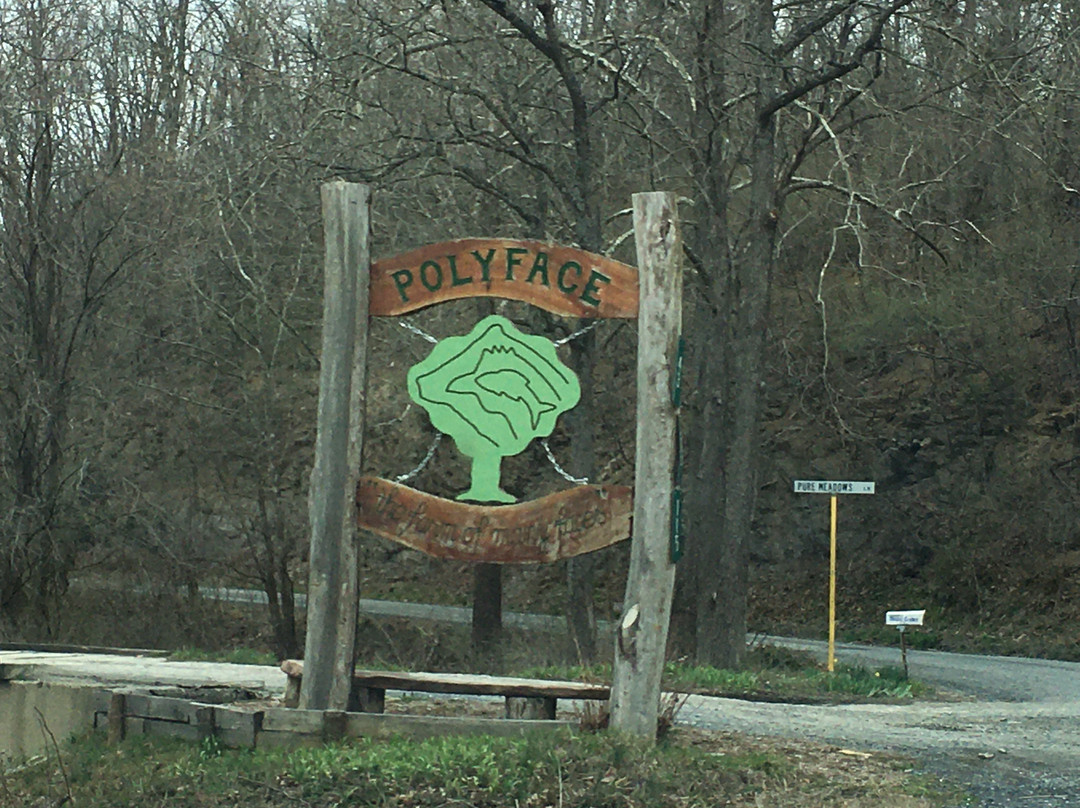 Polyface Farms-Swoope必去景点