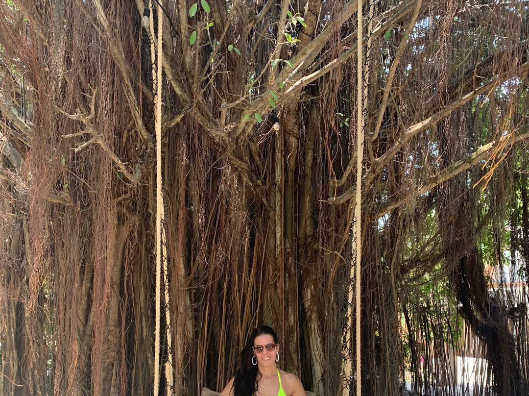 Bomba Beach Club-卡塔赫纳必去景点