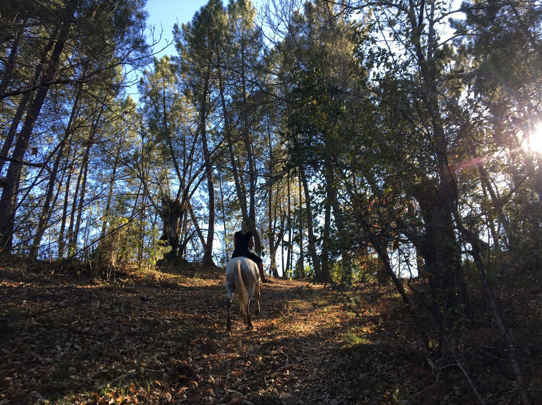 Finca la Suerte. Picadero La Suerte-Galaroza必去景点