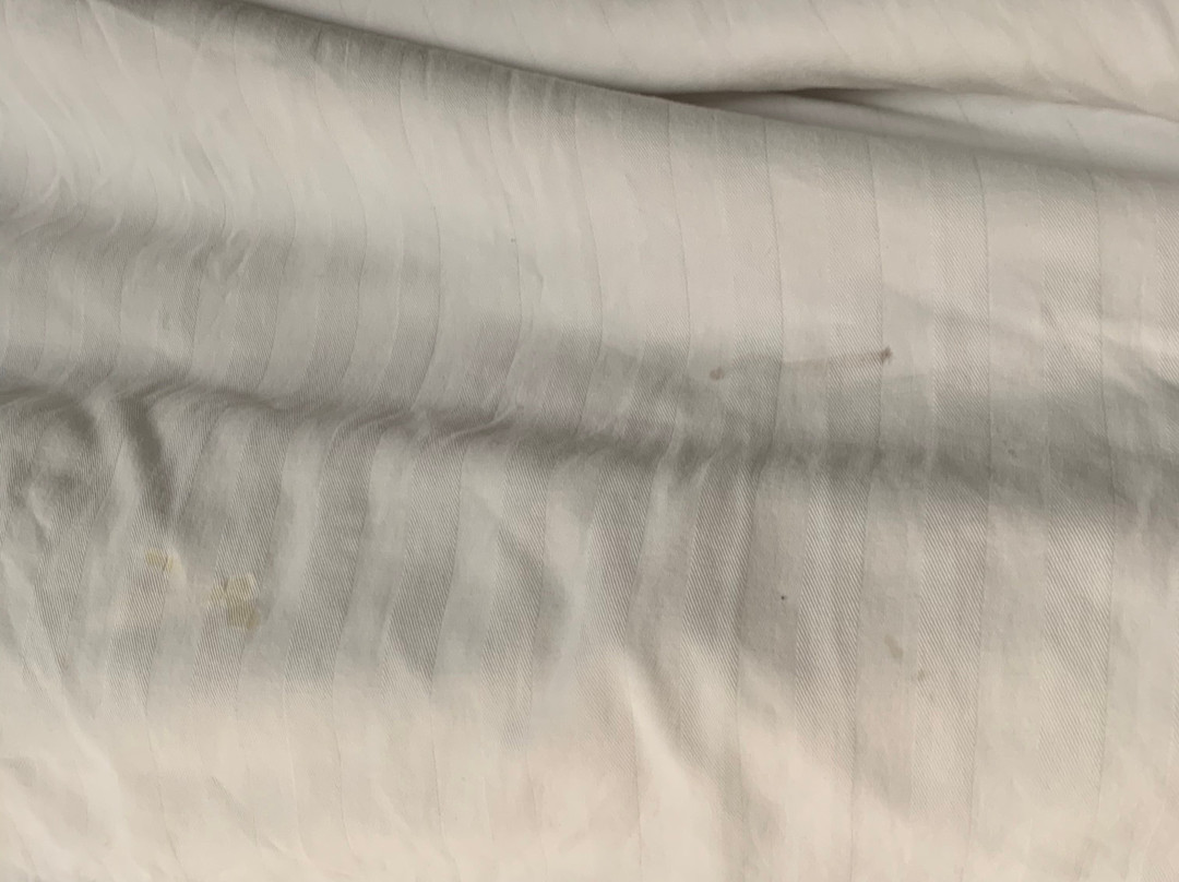 Park Inn by Radisson Albany, GA主图