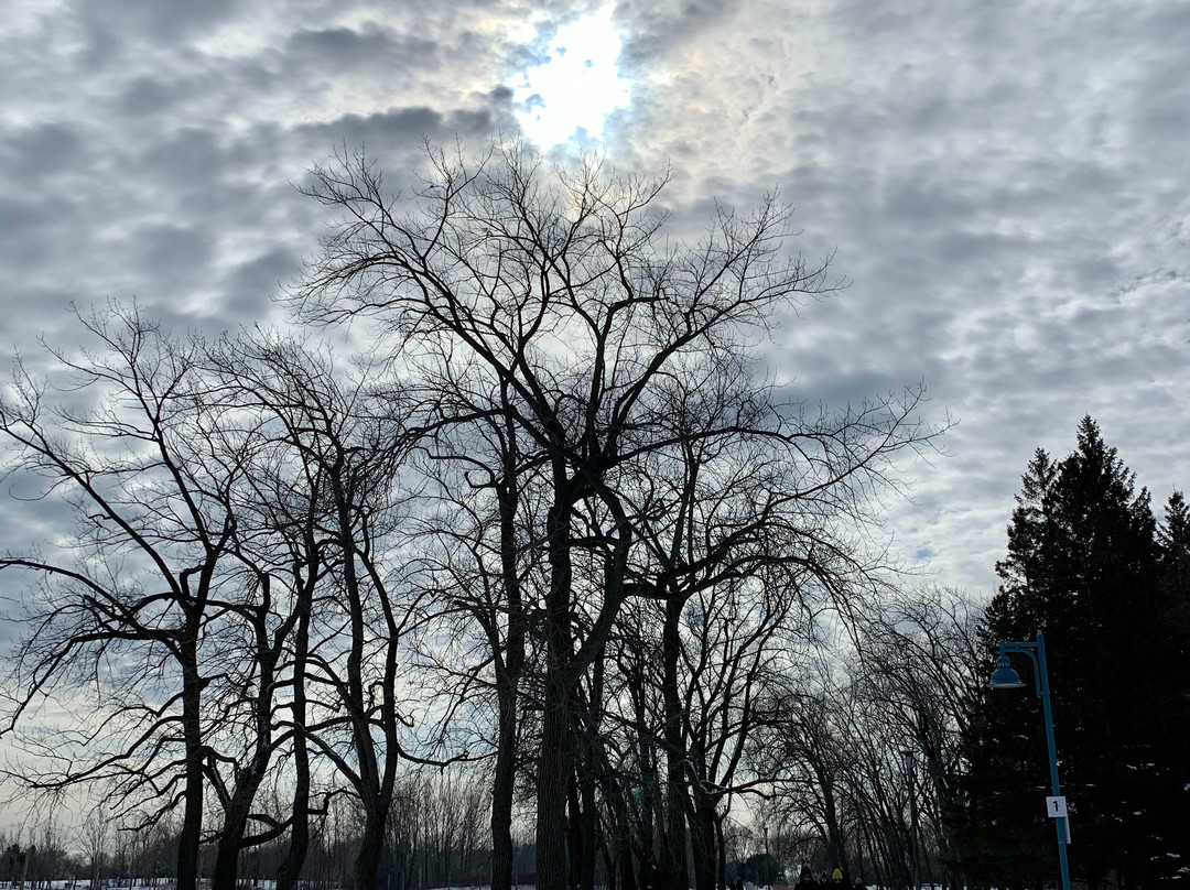 Woodbine Park-多伦多必去景点