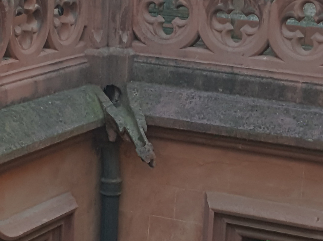 Ajuntament de Viladecans-比拉德坎斯必去景点