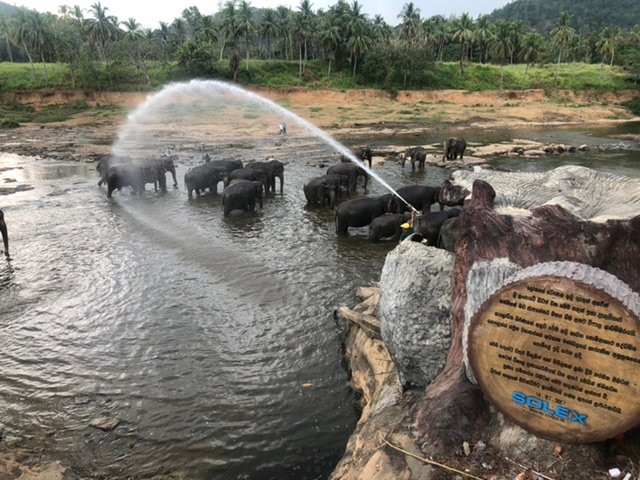 Sri Lanka Round Tour-丹布拉必去景点