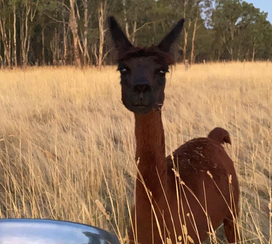 Swanpool Creek Bed & Breakfast主图